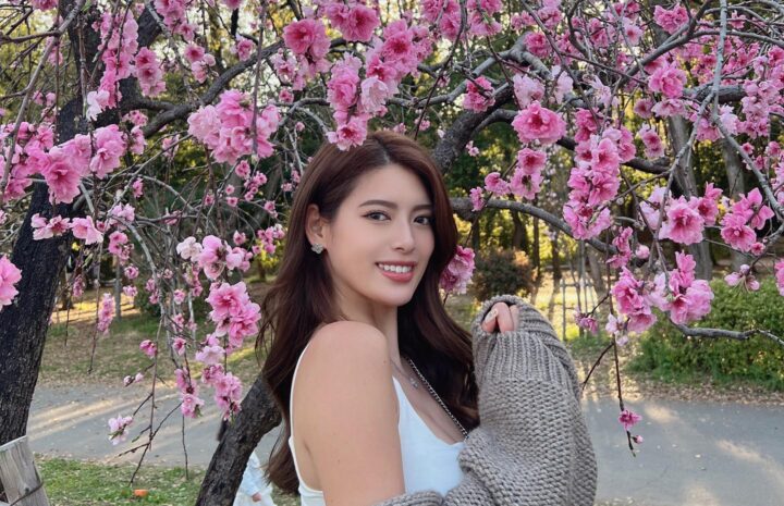 Breath-taking Japanese Mail Order Wife